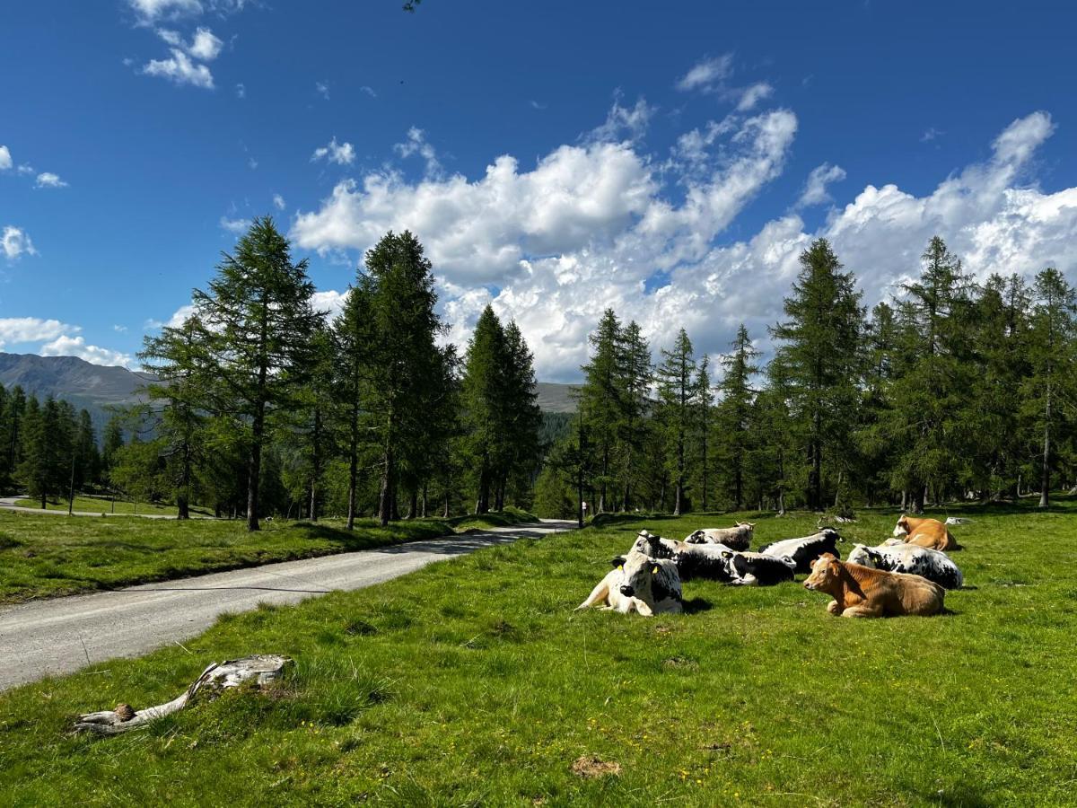 Almzauber Chalets - Haus Enzian Inkl Infrarotliegen Hochrindl Exterior foto